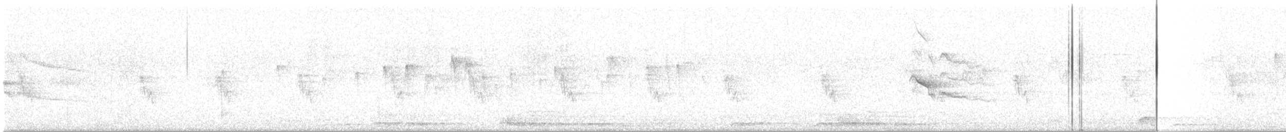 Plumbeous Kite - ML643486794
