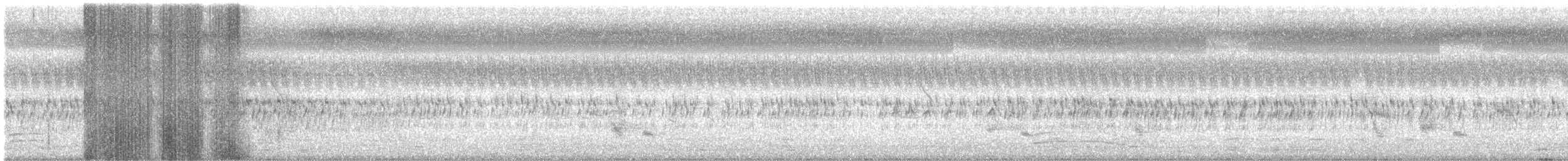 Indian Peafowl - ML643486829