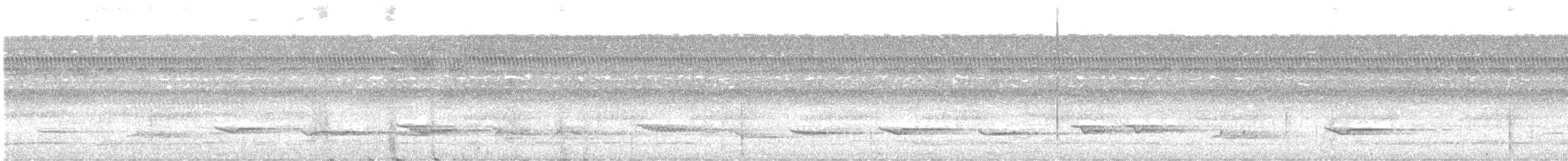Hauxwell's Thrush - ML643486967
