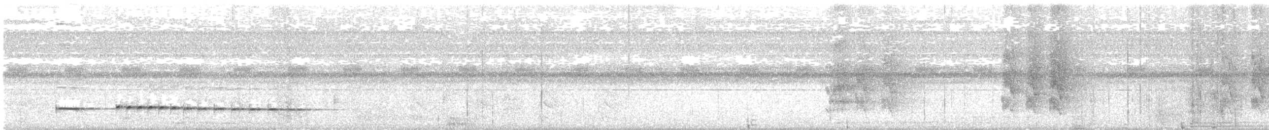 Black-faced Antthrush - ML643487078