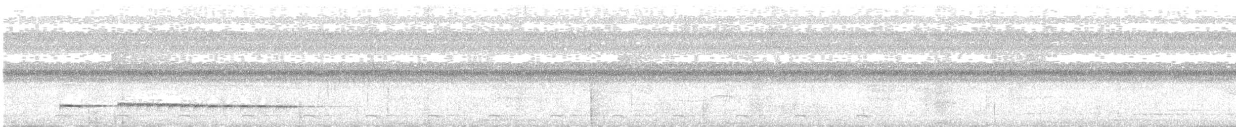 Black-faced Antthrush - ML643487079