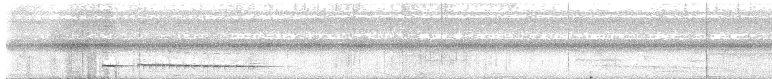 Black-faced Antthrush - ML643487080