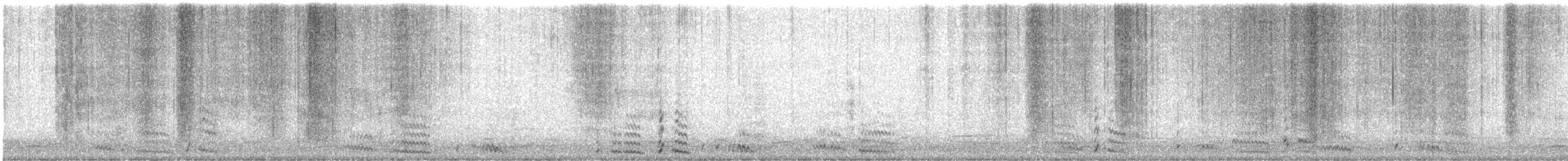 Wild Turkey - ML643487190