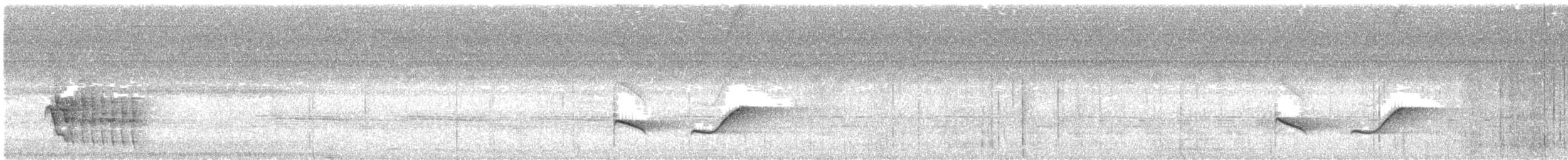 Varzea Schiffornis - ML643487264