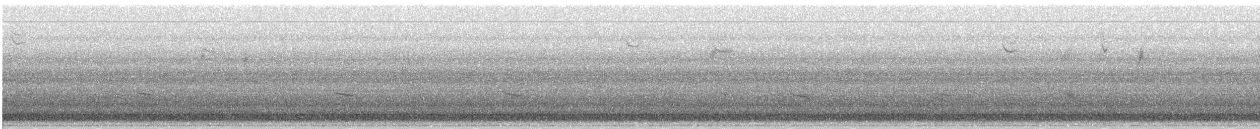 Hermit Thrush - ML643487384