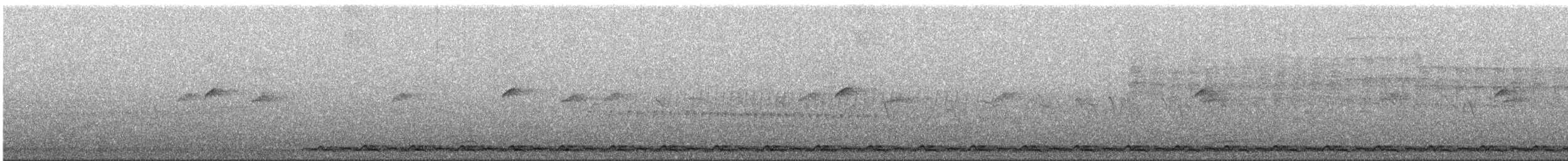 Spot-winged Wood-Quail - ML643489633