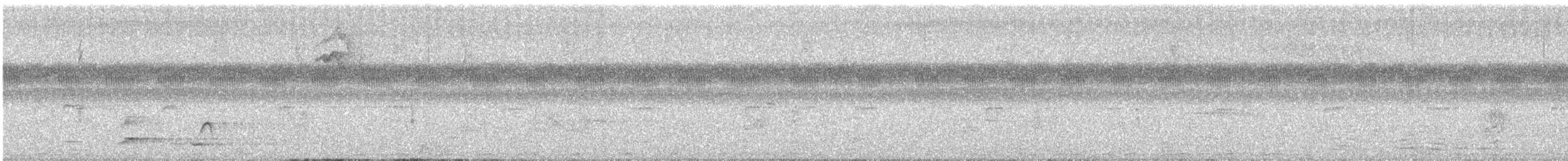 Lesson's Motmot - ML643489669