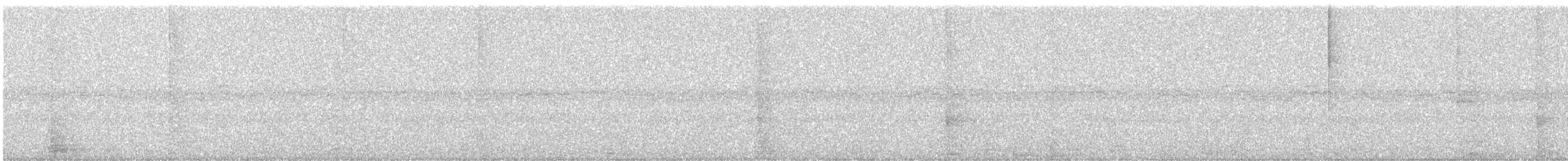 sangtrupial - ML643491197