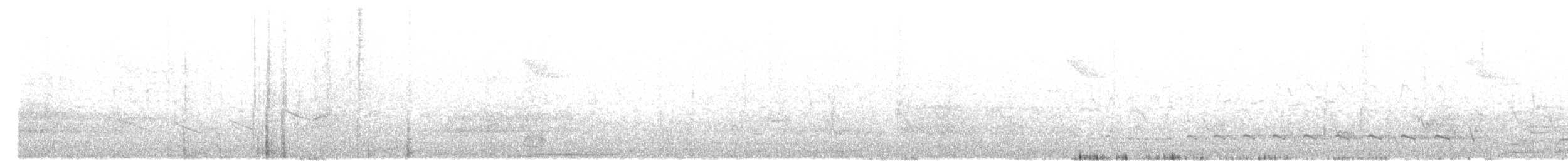 Batará Gigante - ML643491820