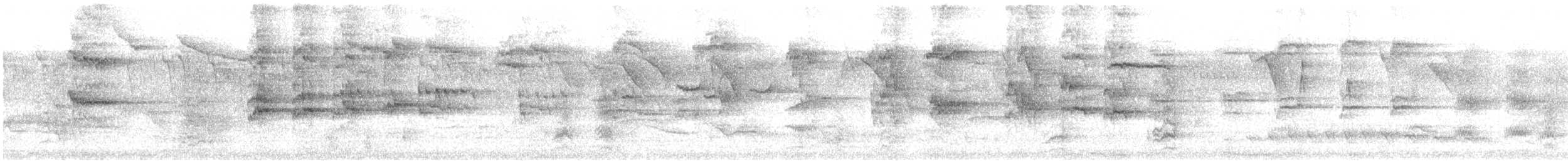 Blacksmith Thrush - ML643491831