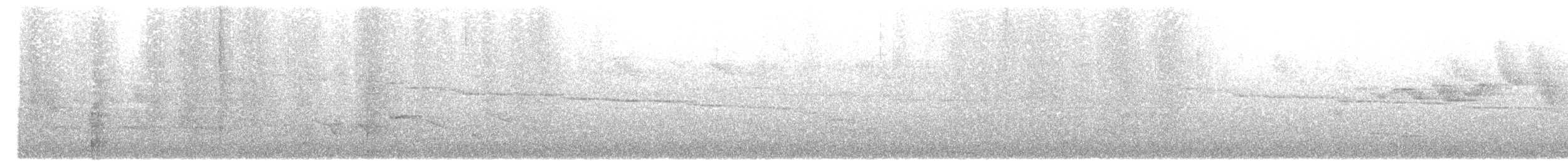 White-browed Warbler - ML643491987