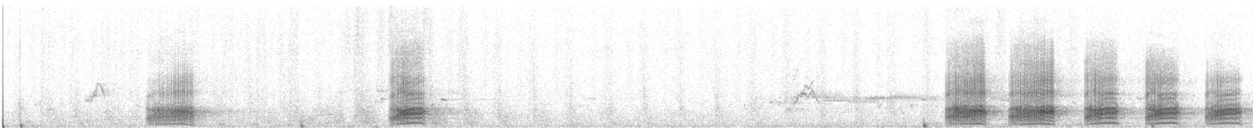 Corbeau brun - ML643492160