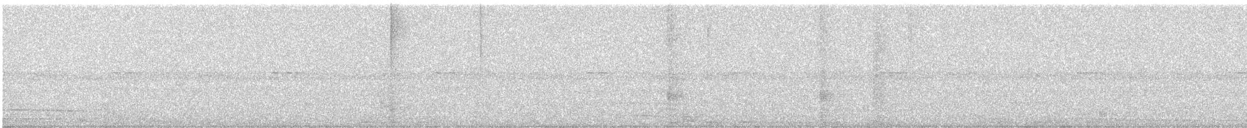 White-tipped Dove - ML643492450