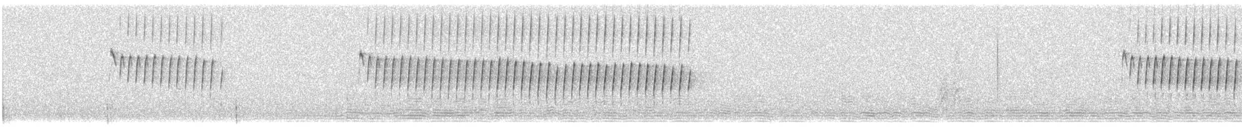 Kalapitari arabiarra - ML643492600