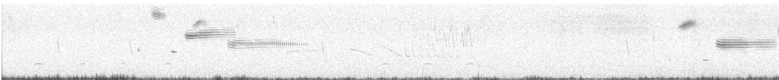 Grassland Sparrow - ML643493863