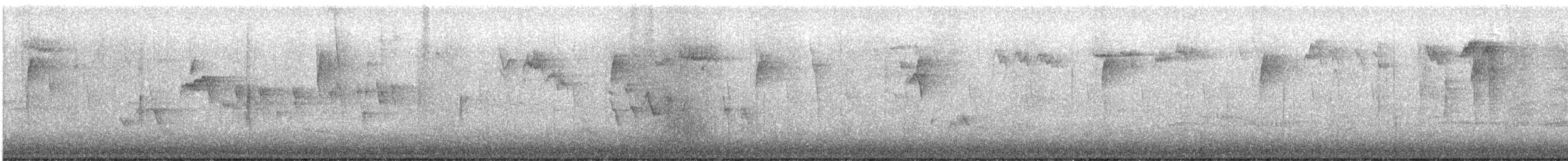 Northern House Wren - ML643495587