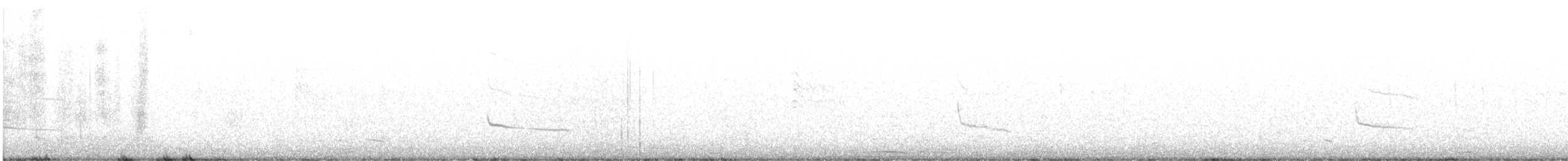 Say's Phoebe - ML643496091