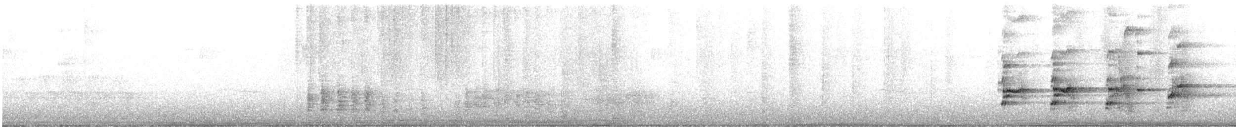 ハクトウワシ - ML643497713