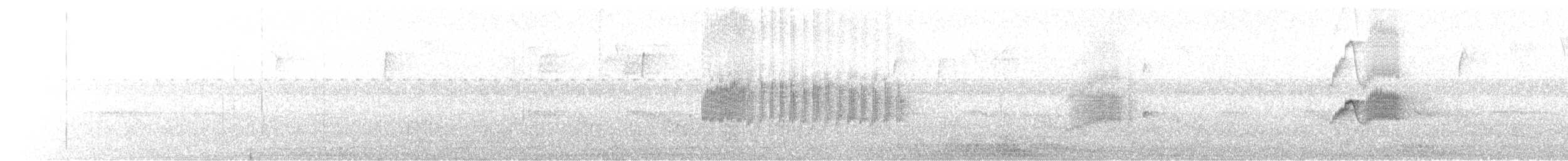 ツキヒメハエトリ - ML643500107