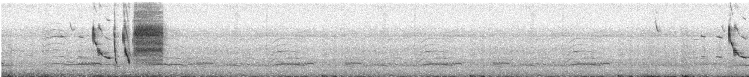 Шпаркос короткохвостий - ML643500690
