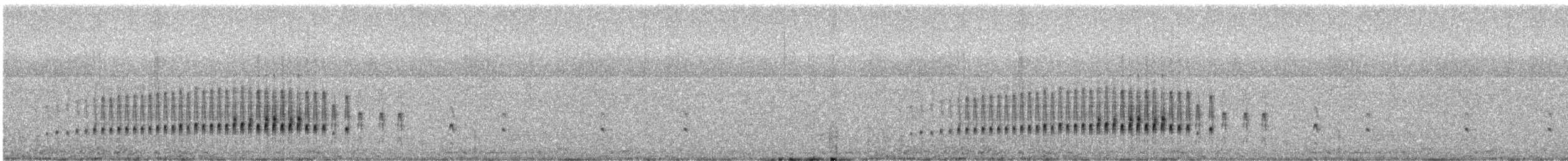 langnebbmarkløper - ML643501329