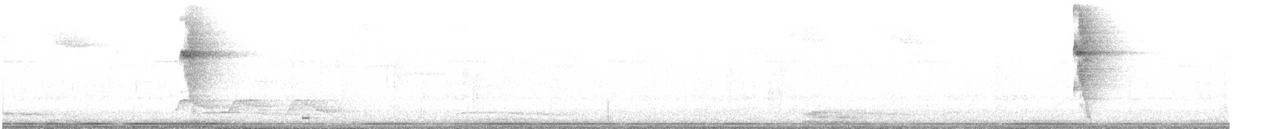 Ceara Gnateater - ML643501746