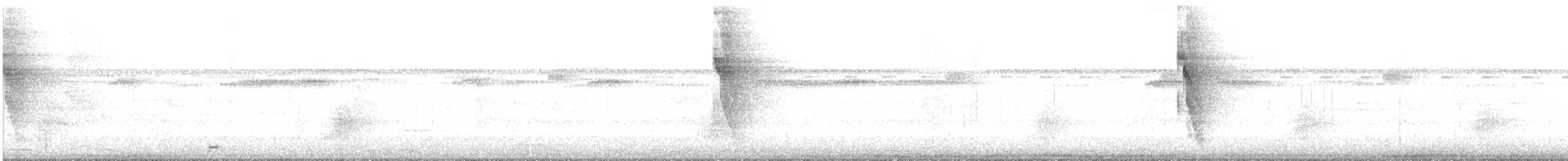 Ceara Gnateater - ML643501752