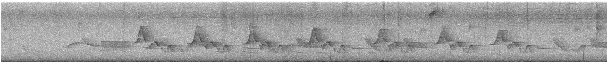 クリムネマユミソサザイ - ML643501760