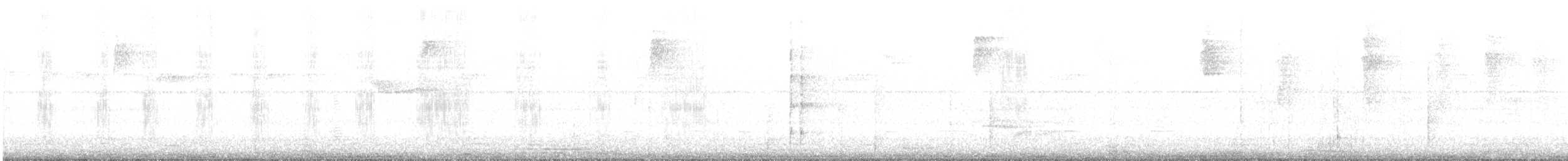 White-throated Spadebill - ML643501896