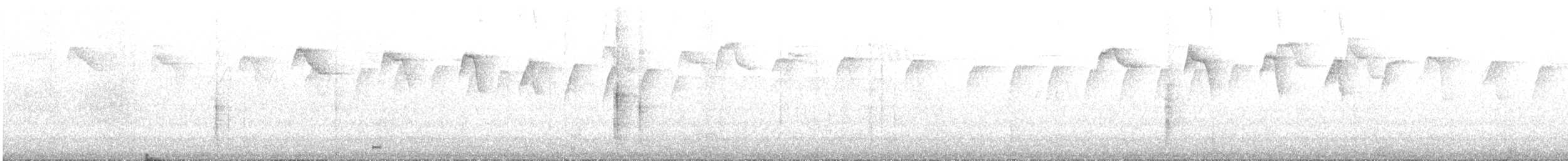 Ceara Gnateater - ML643501982