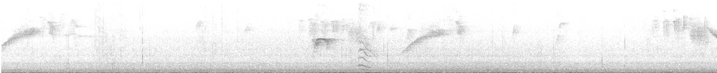 Ceara Gnateater - ML643502010