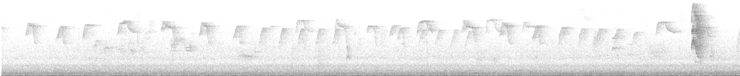 Ceara Gnateater - ML643502020