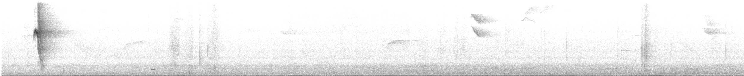 Ceara Gnateater - ML643502050