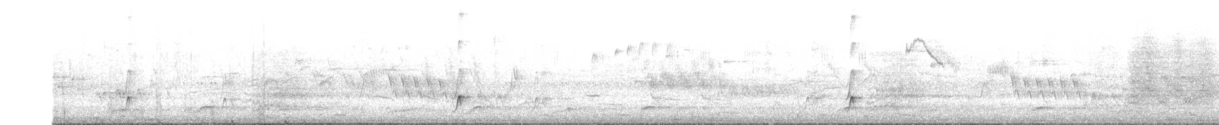 Brown-crested Flycatcher - ML643502286