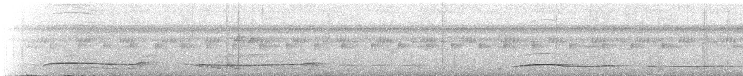 Eastern Striolated-Puffbird (Natterer's) - ML643503185