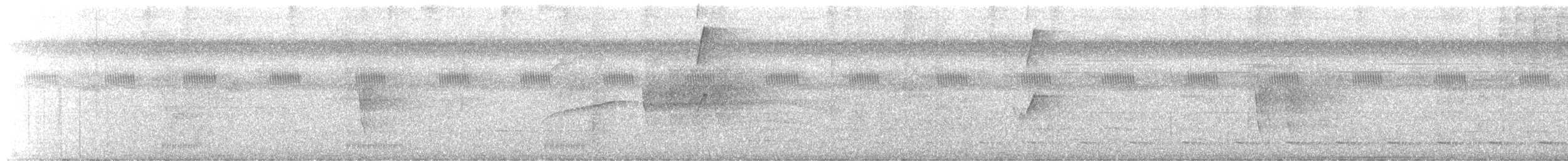 Microtyran à queue courte - ML643503207