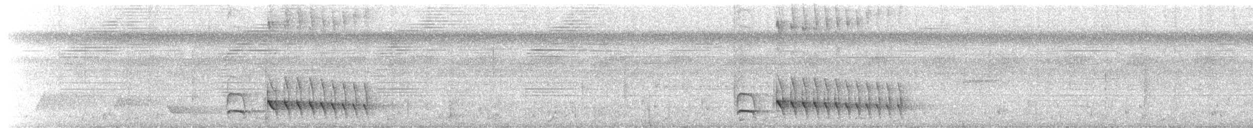 Blackish Antbird - ML643503230