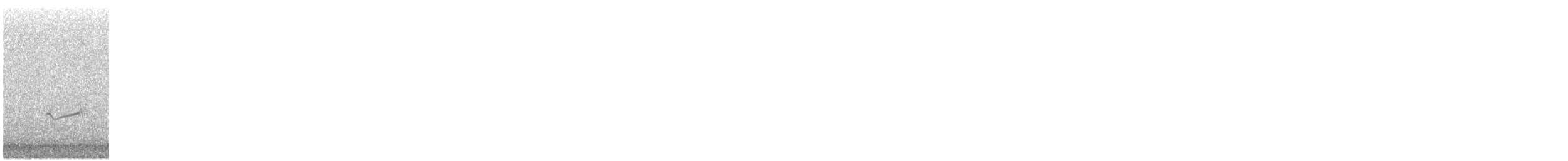 Semipalmated Plover - ML643503550