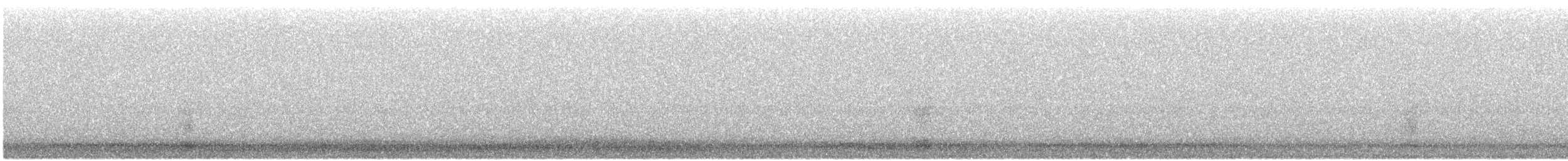 Koartza hauskara amerikarra - ML643504270