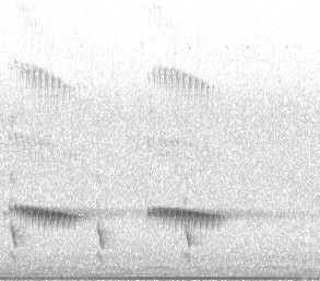 Fan-tailed Cuckoo - ML643504978