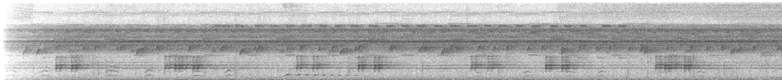 サビイロタチヨタカ - ML643505537