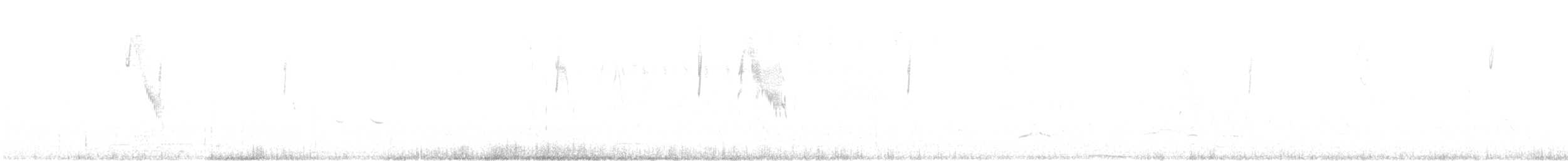 Semillero Volatinero - ML643508846