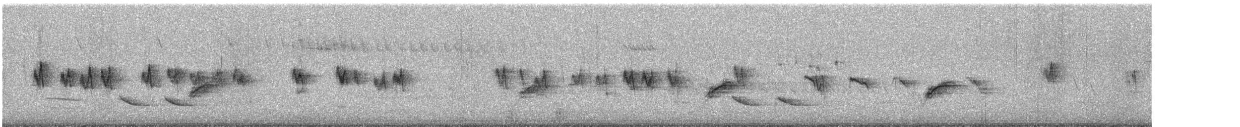 Golondrina Bicolor - ML643509216