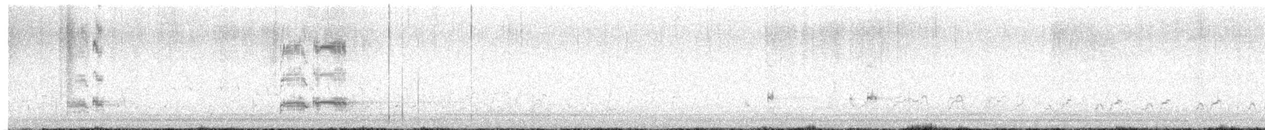 Achichilique Común - ML643509279