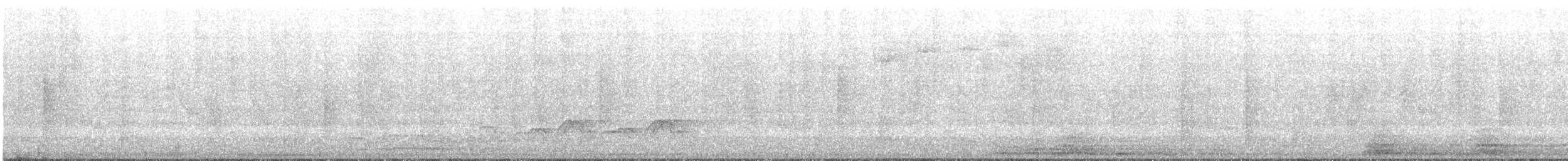White-browed Warbler - ML643510392
