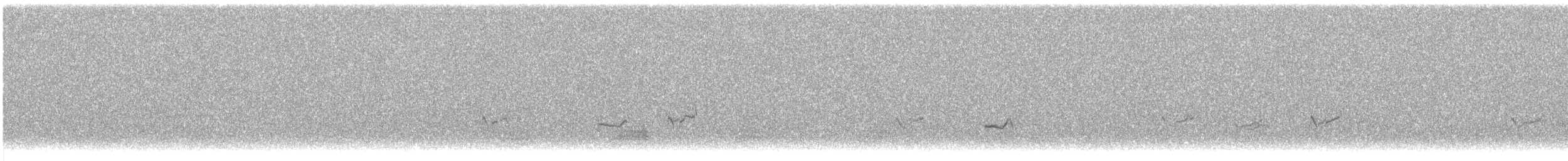 kulík písečný - ML643510850