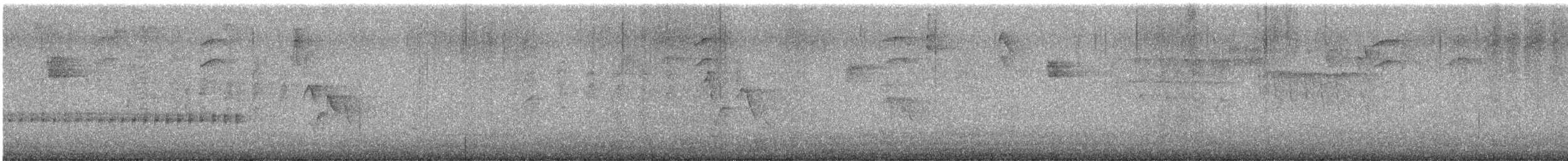Long-billed Gnatwren - ML643511214