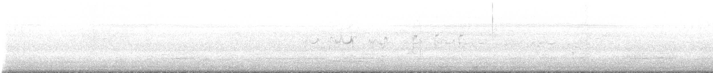 White-collared Swift - ML643512675