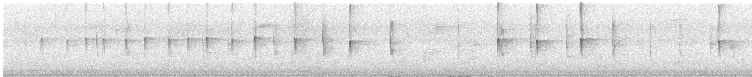 Sick's Swift - ML643513280