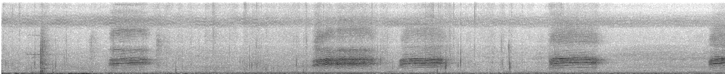Torresian Crow - ML643513504
